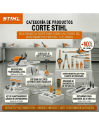Corte